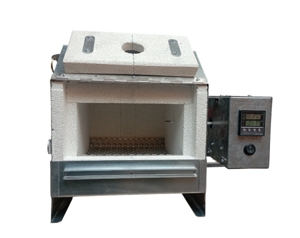 IMG_20240614_102646-Photoroom-600x550